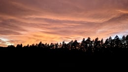 Weekend of planning at Waitawheta Camp